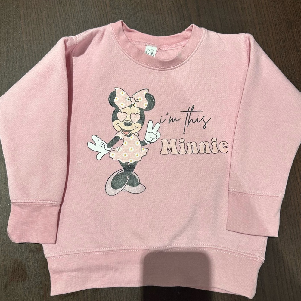 2 year old Minnie sweatshirt